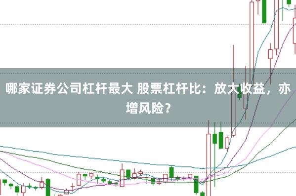 哪家证券公司杠杆最大 股票杠杆比：放大收益，亦增风险？