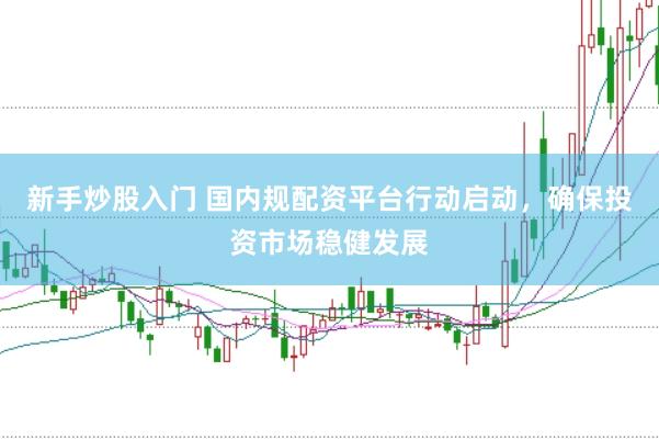 新手炒股入门 国内规配资平台行动启动，确保投资市场稳健发展