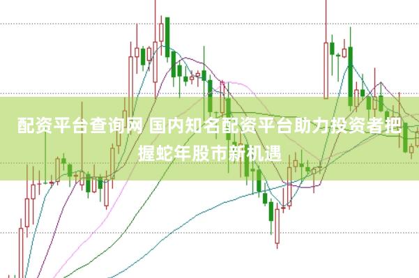 配资平台查询网 国内知名配资平台助力投资者把握蛇年股市新机遇