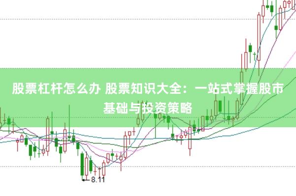 股票杠杆怎么办 股票知识大全：一站式掌握股市基础与投资策略