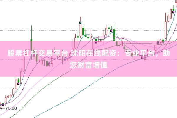 股票杠杆交易平台 沈阳在线配资：专业平台，助您财富增值