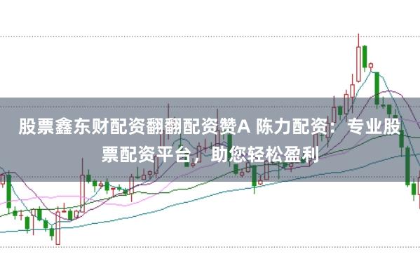 股票鑫东财配资翻翻配资赞A 陈力配资：专业股票配资平台，助您轻松盈利
