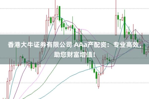 香港大牛证券有限公司 AAa产配资：专业高效，助您财富增值！