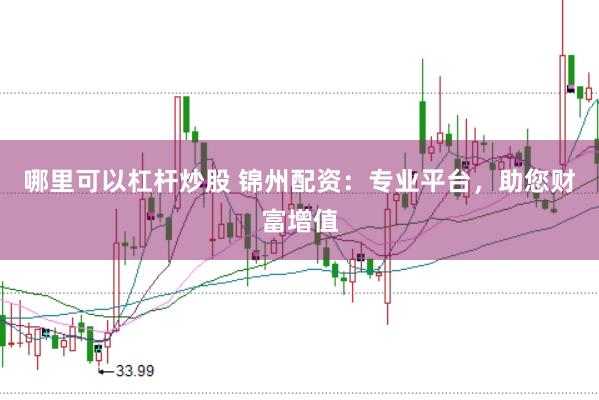 哪里可以杠杆炒股 锦州配资：专业平台，助您财富增值