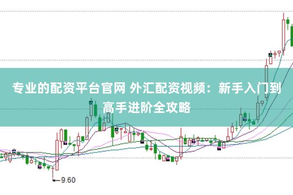 专业的配资平台官网 外汇配资视频：新手入门到高手进阶全攻略