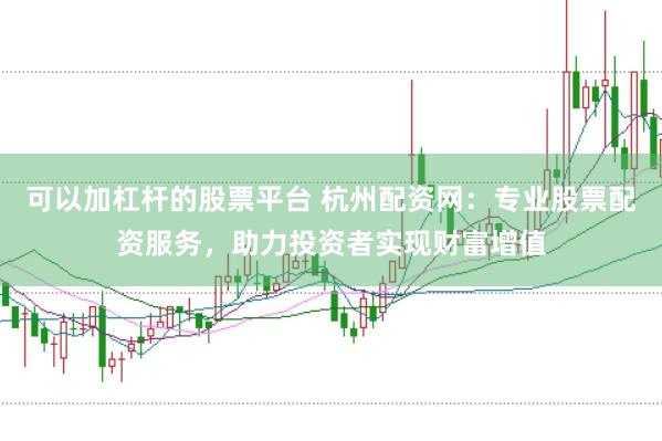 可以加杠杆的股票平台 杭州配资网：专业股票配资服务，助力投资者实现财富增值