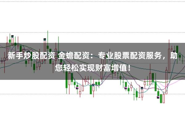 新手炒股配资 金蟾配资：专业股票配资服务，助您轻松实现财富增值！