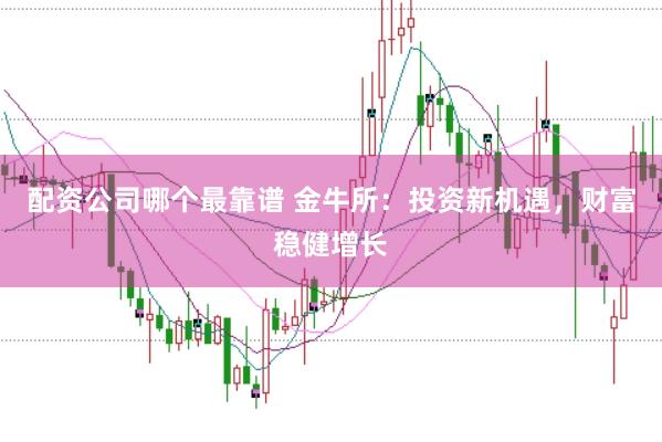 配资公司哪个最靠谱 金牛所：投资新机遇，财富稳健增长