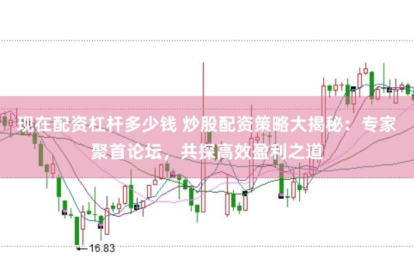 现在配资杠杆多少钱 炒股配资策略大揭秘：专家聚首论坛，共探高效盈利之道