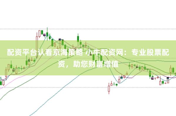 配资平台认看京海策略 小牛配资网：专业股票配资，助您财富增值