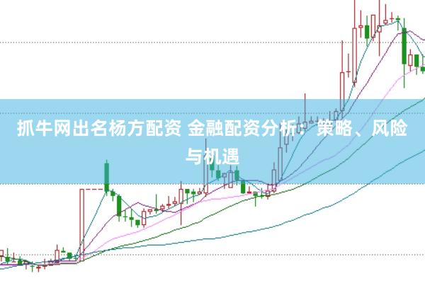 抓牛网出名杨方配资 金融配资分析：策略、风险与机遇