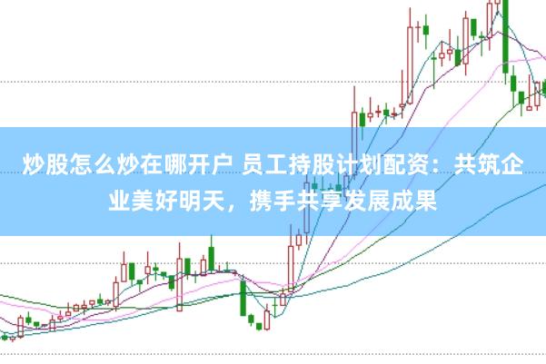 炒股怎么炒在哪开户 员工持股计划配资：共筑企业美好明天，携手共享发展成果