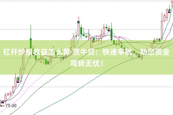 杠杆炒股收益怎么算 顶牛贷：快速审批，助您资金周转无忧！