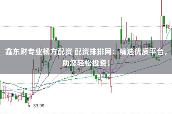 鑫东财专业杨方配资 配资排排网：精选优质平台，助您轻松投资！