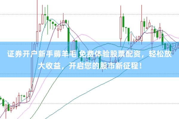证券开户新手薅羊毛 免费体验股票配资，轻松放大收益，开启您的股市新征程！