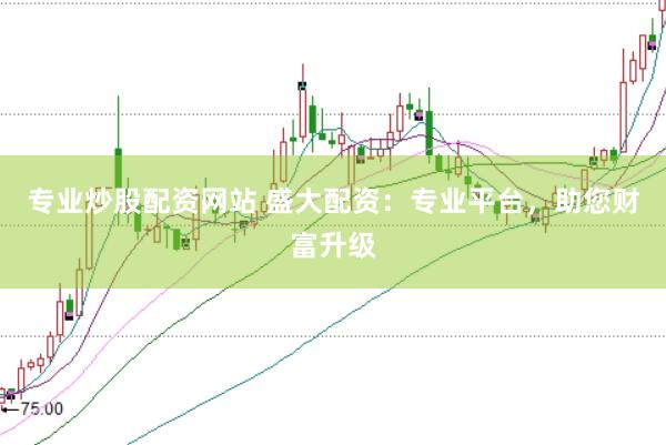 专业炒股配资网站 盛大配资：专业平台，助您财富升级