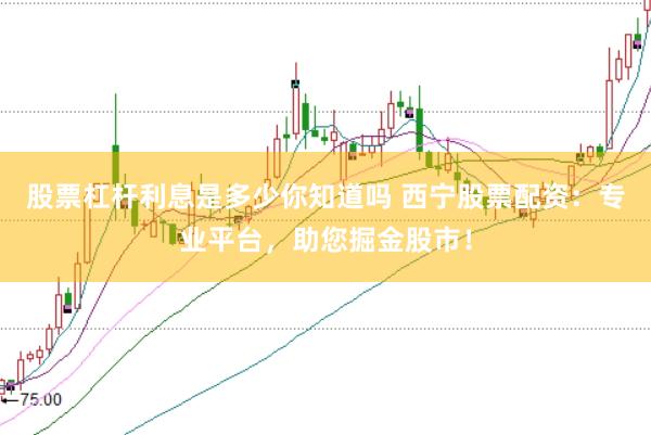 股票杠杆利息是多少你知道吗 西宁股票配资：专业平台，助您掘金股市！