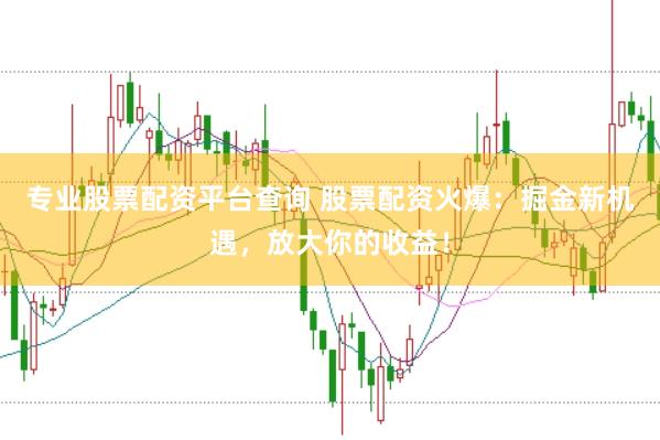 专业股票配资平台查询 股票配资火爆:掘金新机遇,放大你的收益!