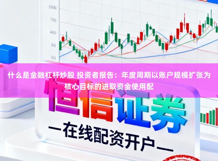 什么是金融杠杆炒股 投资者报告：年度周期以账户规模扩张为核心目标的进取资金使用配