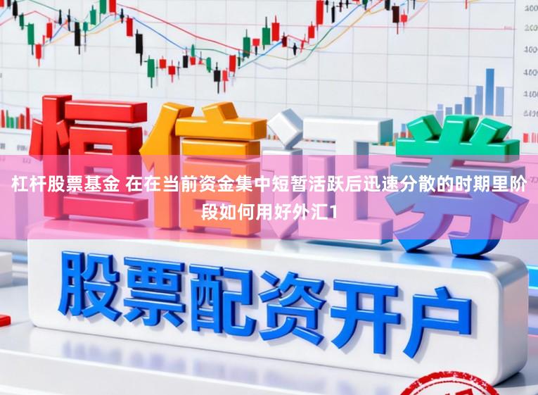杠杆股票基金 在在当前资金集中短暂活跃后迅速分散的时期里阶段如何用好外汇1