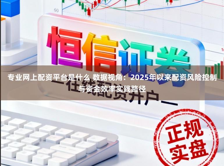 专业网上配资平台是什么 数据视角：2025年以来配资风险控制与资金效率实践路径